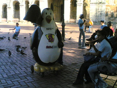 In Plaza Colon un venditore ambulante di gelati ha un carretto a forma di pinguino. A me fa caldo lo stesso.