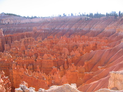 Tre settimane a zonzo nel selvaggio west