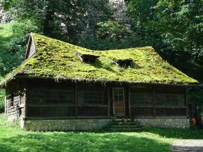 Antica casa con tetto in erba.
