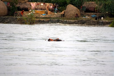 Chalna, Bangladesh. Cadavere in acqua. Foto di Daniele Bagnaresi